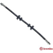 Brembo | Bremsschlauch | T 85 103