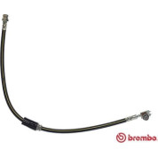 Brembo | Bremsschlauch | T 85 112