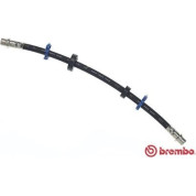 Brembo | Bremsschlauch | T 85 151