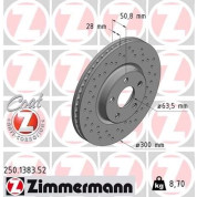 Zimmermann | Bremsscheibe | 250.1383.52