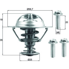 Mahle | Thermostat, Kühlmittel | TX 202 90D