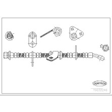 Corteco | Bremsschlauch | 19032246