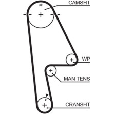 Gates | Zahnriemen | 5529XS