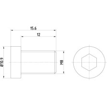 Textar | Schraube, Bremsscheibe | TPM0009