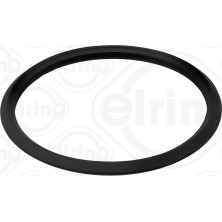 Elring | Dichtung, Thermostat | 495.980