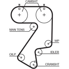 Gates | Zahnriemen | 5404XS