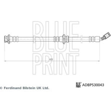 Blue Print | Bremsschlauch | ADBP530043