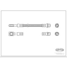 Corteco | Bremsschlauch | 19026813