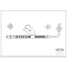 Corteco | Bremsschlauch | 19032129