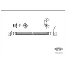 Corteco | Bremsschlauch | 19033052