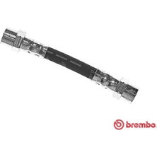 Brembo | Bremsschlauch | T 06 033