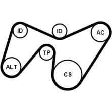 ContiTech | Keilrippenriemensatz | 6PK1642K2