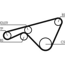 ContiTech | Zahnriemen | CT925