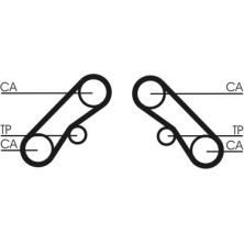 ContiTech | Zahnriemen | CT1074