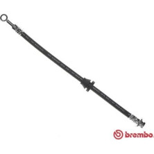 Brembo | Bremsschlauch | T 10 003