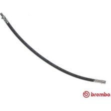 Brembo | Bremsschlauch | T 50 067