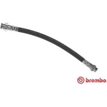 Brembo | Bremsschlauch | T 11 017