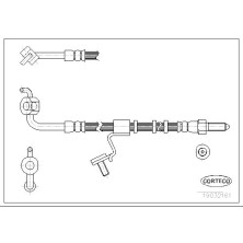 Corteco | Bremsschlauch | 19032161