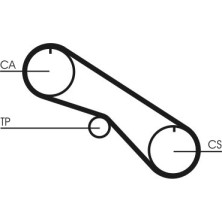 ContiTech | Zahnriemen | CT1082