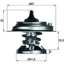 Mahle | Thermostat, Kühlmittel | TX 29 75D