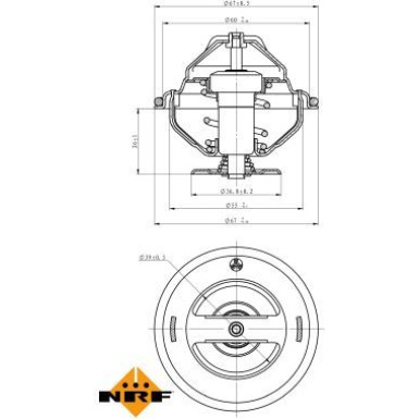 NRF | Thermostat, Kühlmittel | 725098