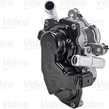 Valeo | AGR-Ventil | 700454