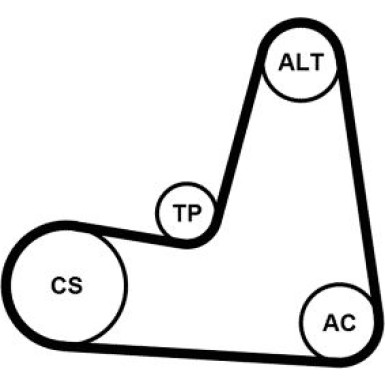 ContiTech | Keilrippenriemensatz | 6PK1130K2