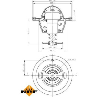 NRF | Thermostat, Kühlmittel | 725126