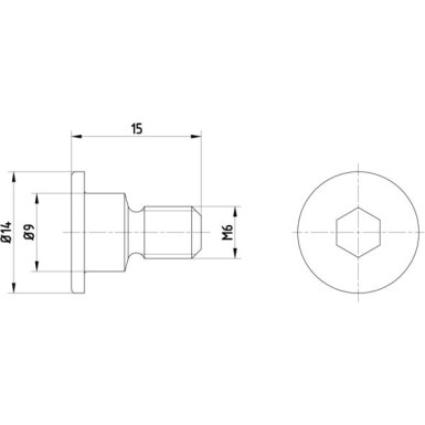 Textar | Schraube, Bremsscheibe | TPM0001