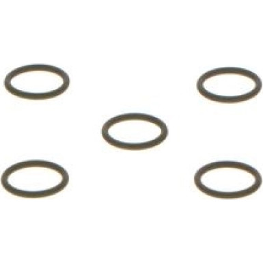 BOSCH | Dichtring | F 01M 100 050