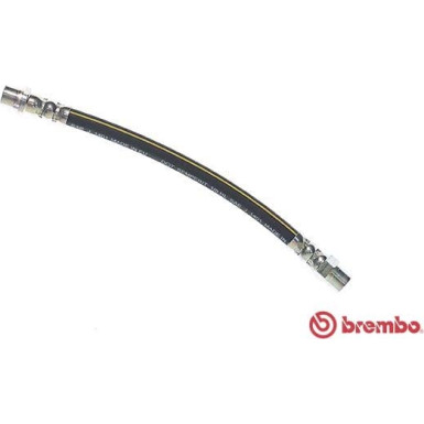 Brembo | Bremsschlauch | T 06 005