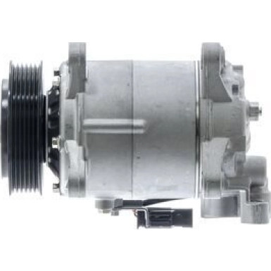 Mahle | Kompressor, Klimaanlage | ACP 1383 000P