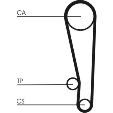 ContiTech | Zahnriemen | CT1013