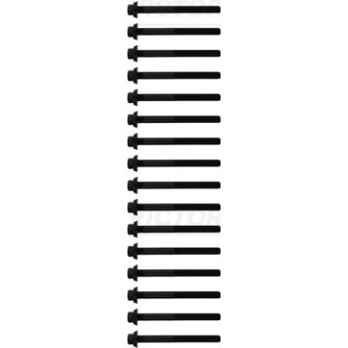 Victor Reinz | Zylinderkopfschraubensatz | 14-10415-01