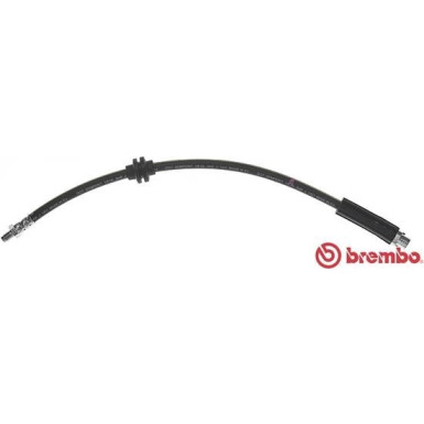 Brembo | Bremsschlauch | T 06 029