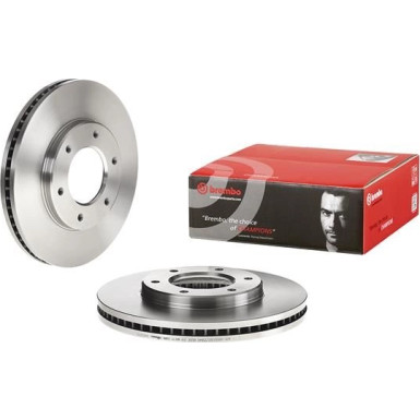 Brembo | Bremsscheibe | 09.A203.10