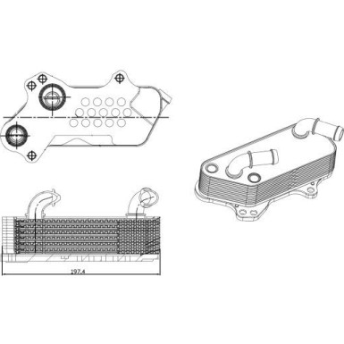 NRF | Ölkühler, Motoröl | 31828