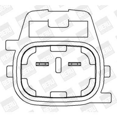 BorgWarner (BERU) | Zündspule | ZS396