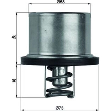 Mahle | Thermostat, Kühlmittel | TX 37 79