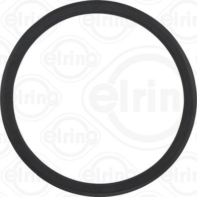 Elring | Dichtung, Thermostat | 495.980