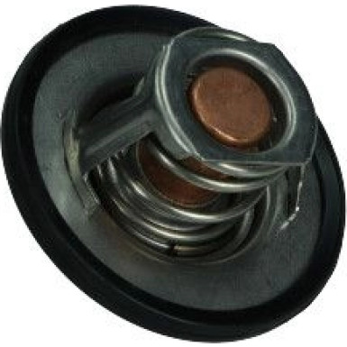 Maxgear | Thermostat, Kühlmittel | 67-0100