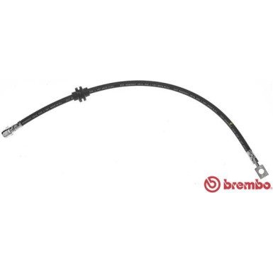 Brembo | Bremsschlauch | T 06 027