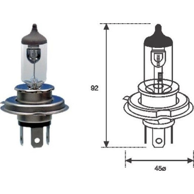 Magneti Marelli | Glühlampe | 002555100000