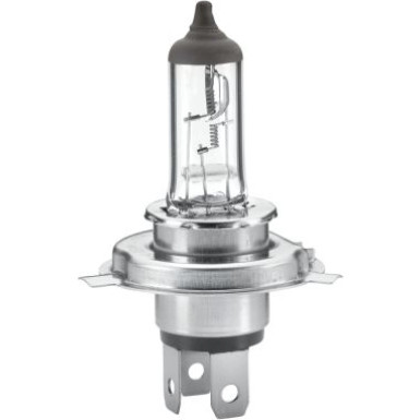 Hella | Glühlampe | 8GJ 002 525-251