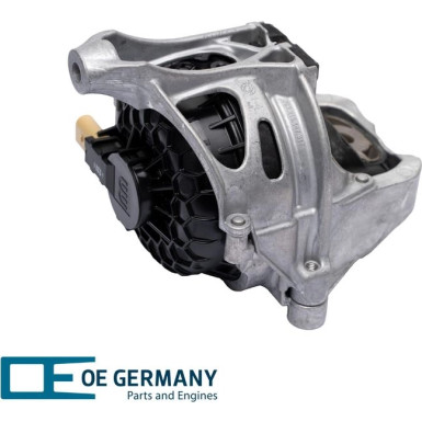 OE Germany | Lagerung, Motor | 800629