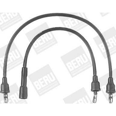 BorgWarner (BERU) | Zündleitungssatz | ZEF579