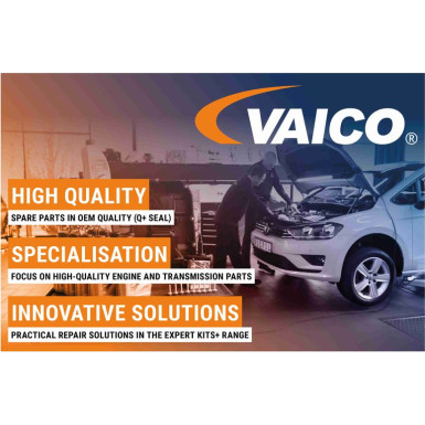 Vaico | Lagerung, Motor | V10-2659