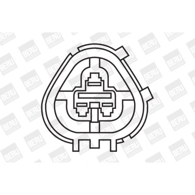 BorgWarner (BERU) | Zündspule | ZS266