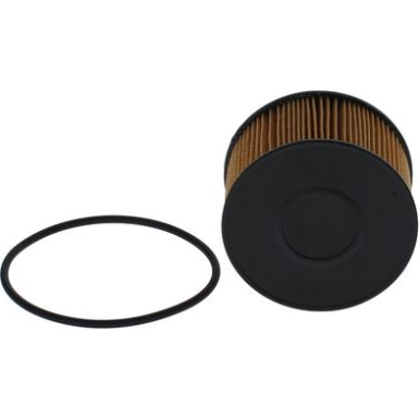 BOSCH F 026 407 231 Ölfilter