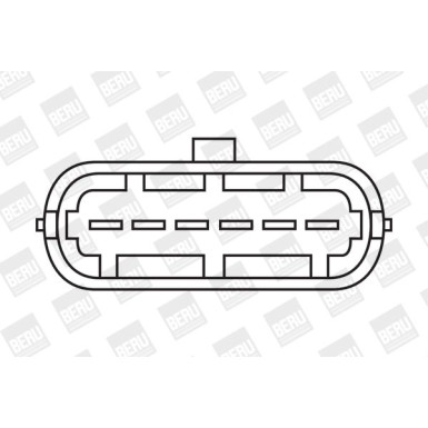 BorgWarner (BERU) | Zündspule | ZS338